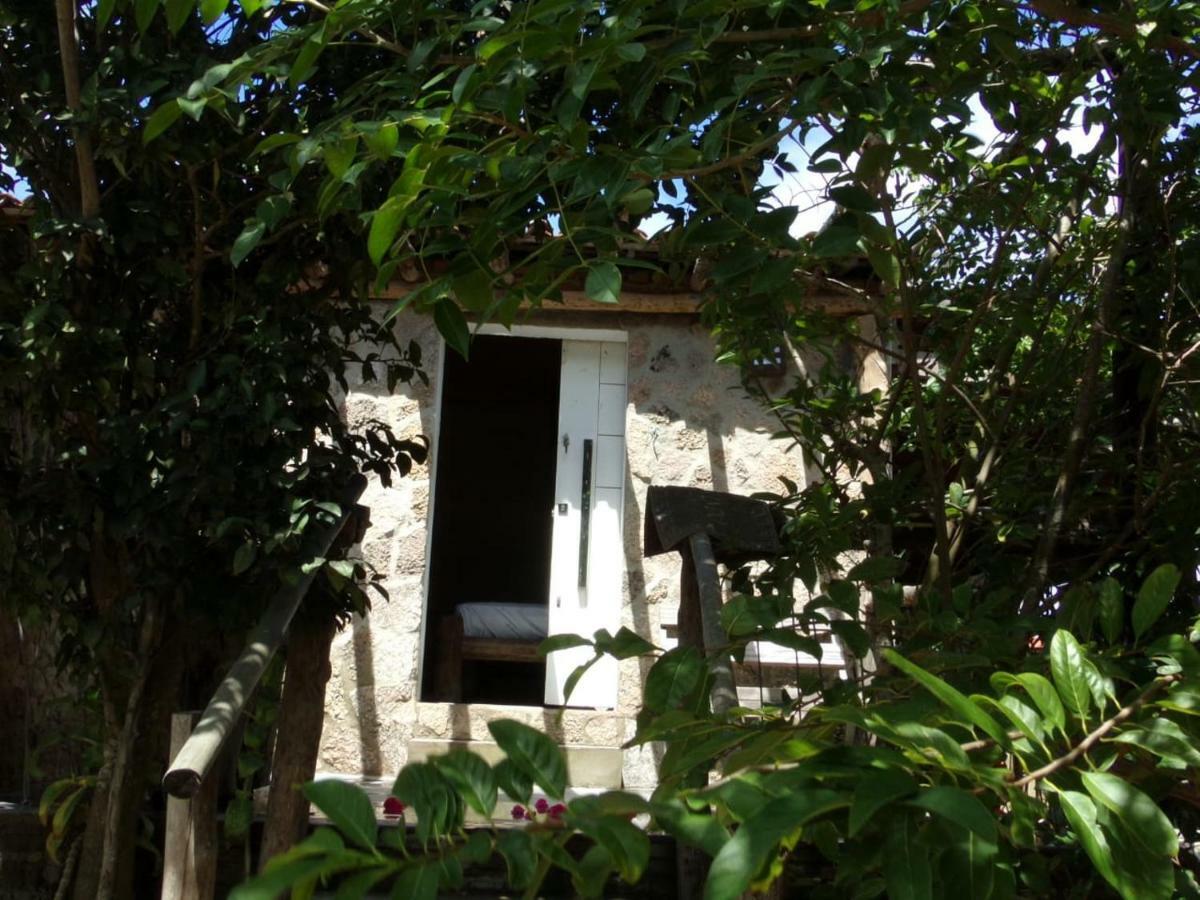 Paradise Camp Natal Ngoại thất bức ảnh